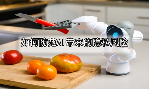 如何防范AI带来的隐私风险