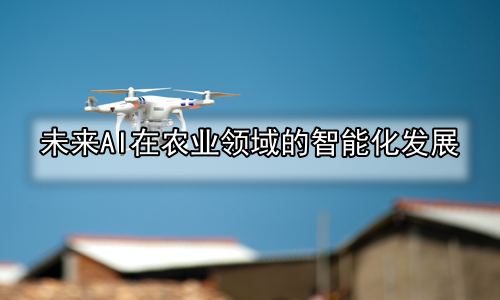 未来AI在农业领域的智能化发展