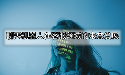 聊天机器人在客服领域的未来发展