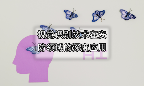 视觉识别技术在安防领域的深度应用