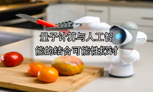 量子计算与人工智能的结合可能性探讨