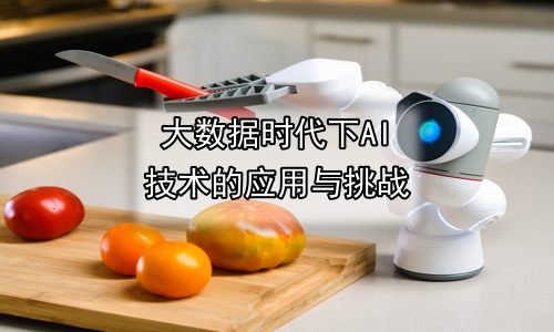 大数据时代下AI技术的应用与挑战