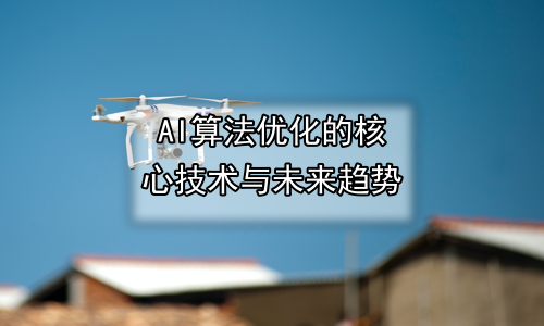 AI算法优化的核心技术与未来趋势