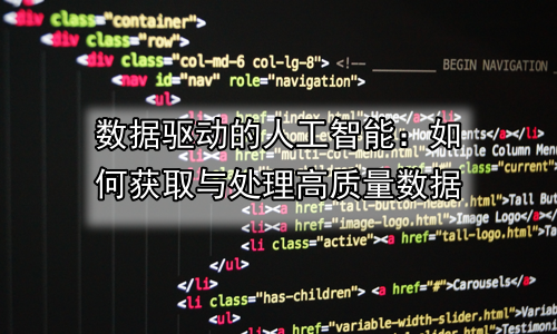 数据驱动的人工智能：如何获取与处理高质量数据