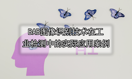 图像识别技术在工业检测中的实际应用案例