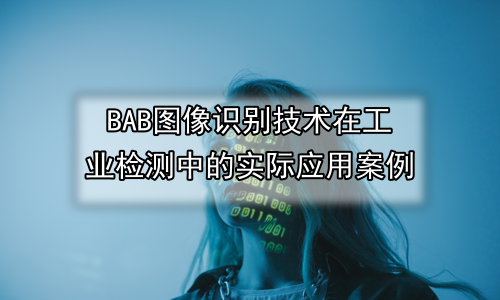 图像识别技术在工业检测中的实际应用案例