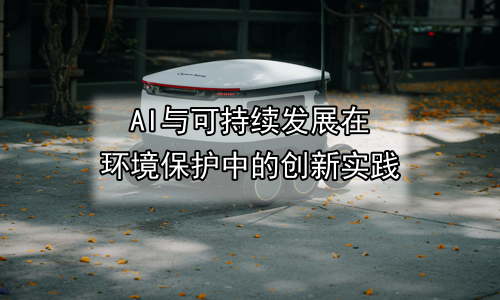 AI与可持续发展在环境保护中的创新实践