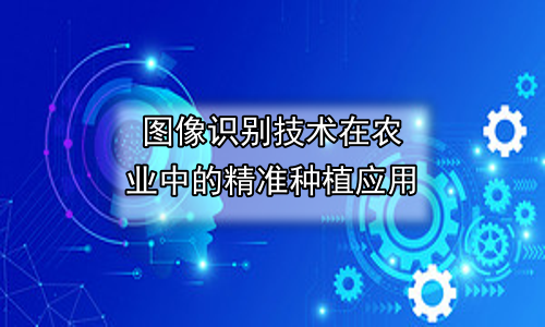 图像识别技术在农业中的精准种植应用