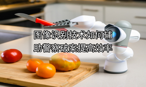 图像识别技术如何辅助警察破案提高效率