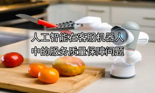 人工智能在客服机器人中的服务质量保障问题