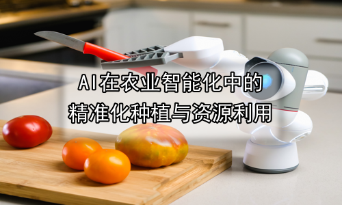 AI在农业智能化中的精准化种植与资源利用