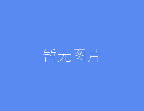 视觉识别技术在安防领域的深度应用